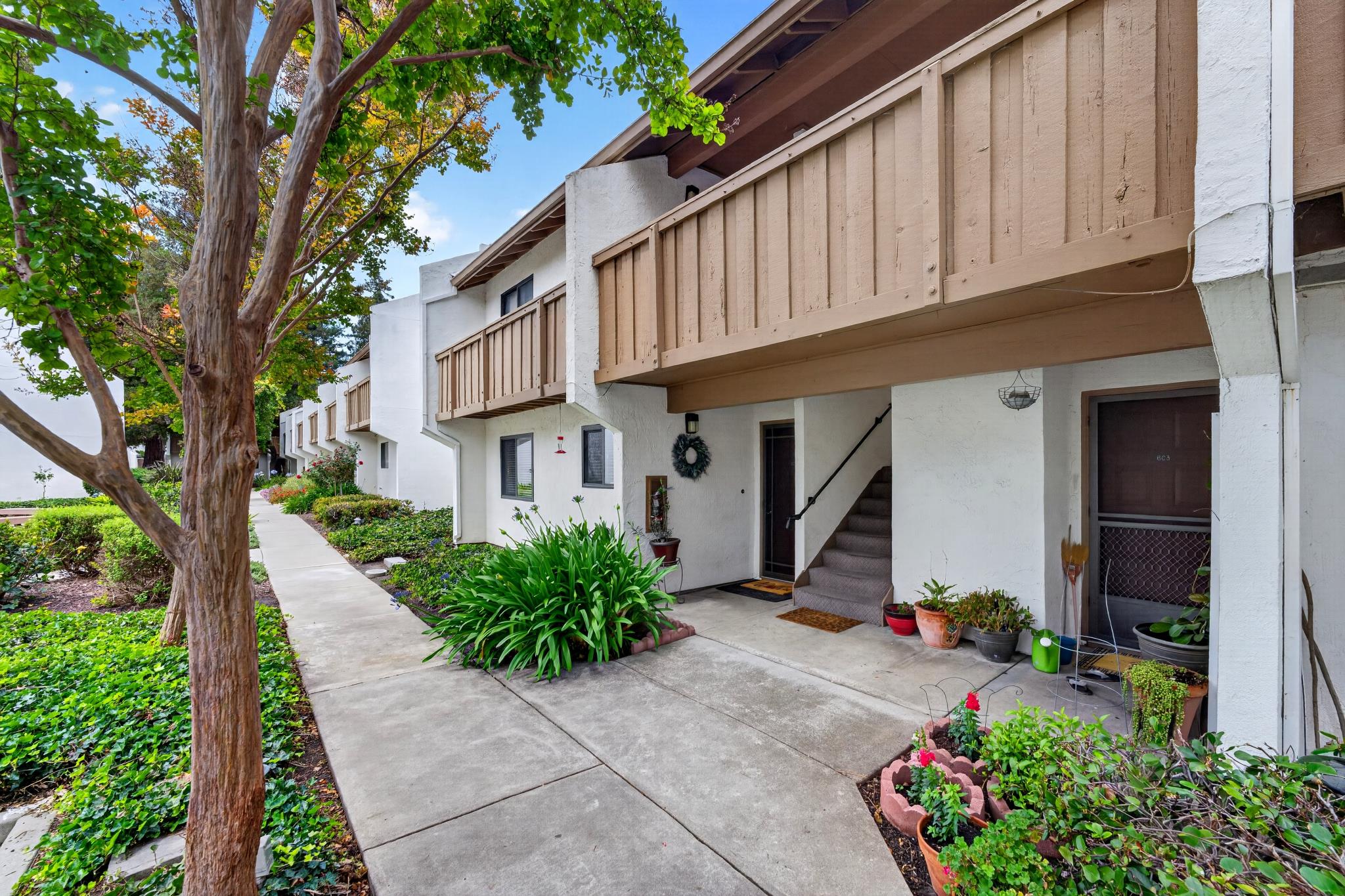Tree-lined walkway and residential entries