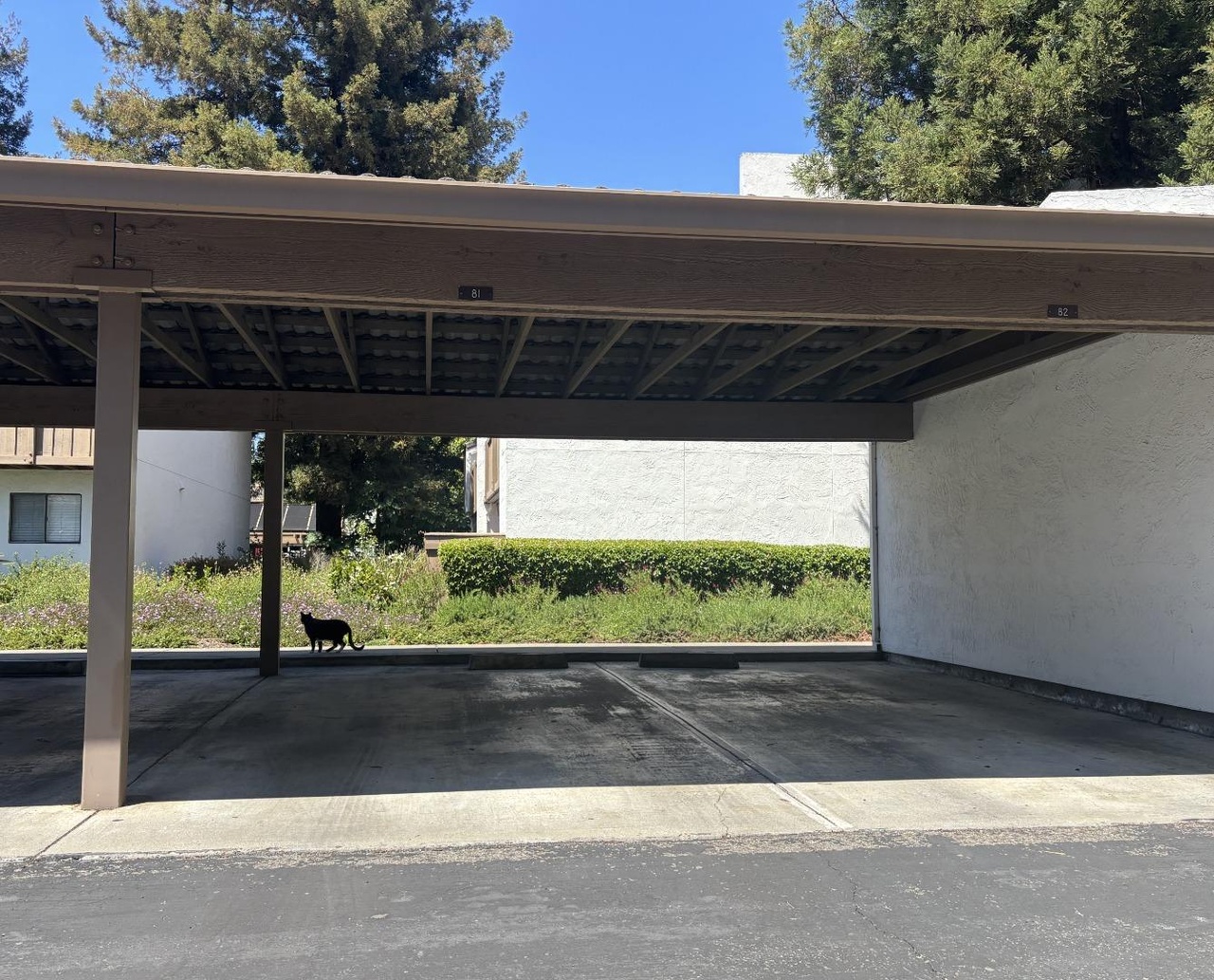 Dedicated covered carport parking space