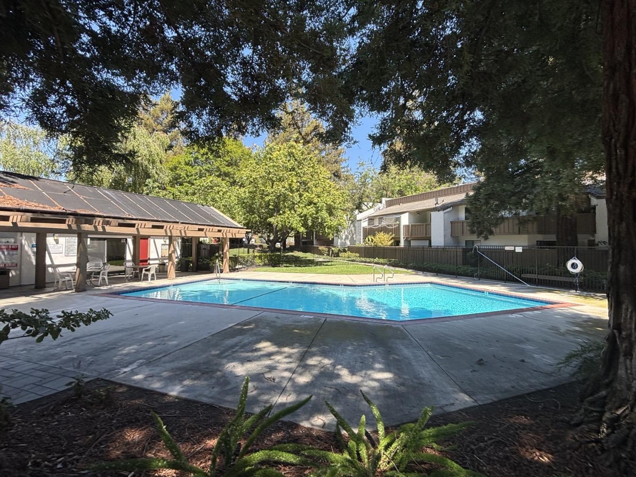 Community swimming pool surrounded by mature landscaping